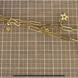 Dior Gold Chain Phone Case Accessory